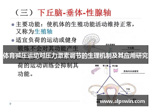 体育减压运动对压力激素调节的生理机制及其应用研究 体育减压运动对压力激素调节的生理机制及其应用研究
